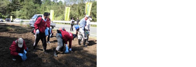 Participation in the Nanohana (Rape Blossom) Project