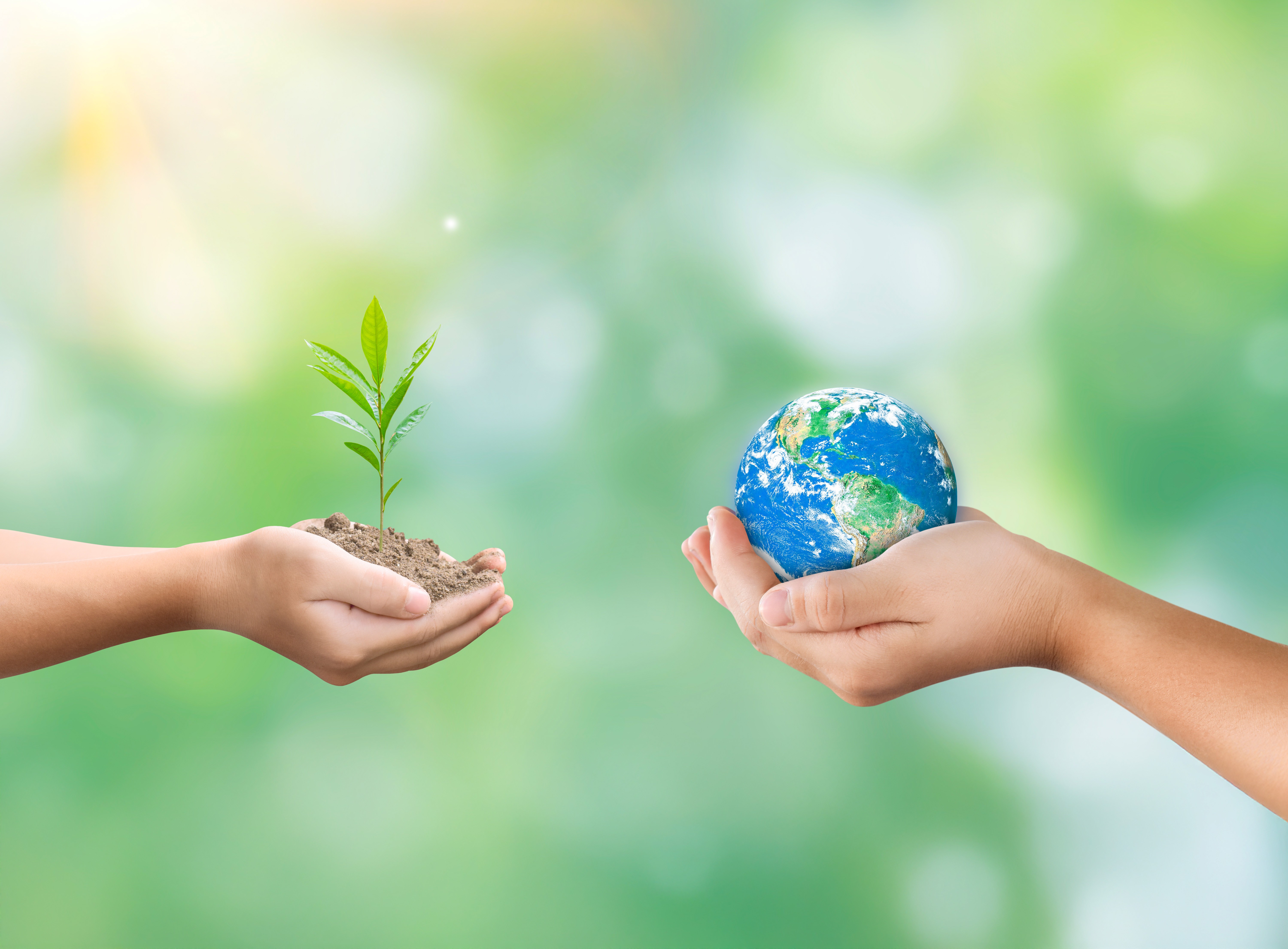 サステナビリティ