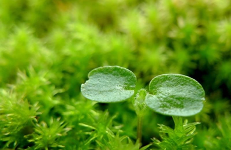 グリーン調達ガイドライン