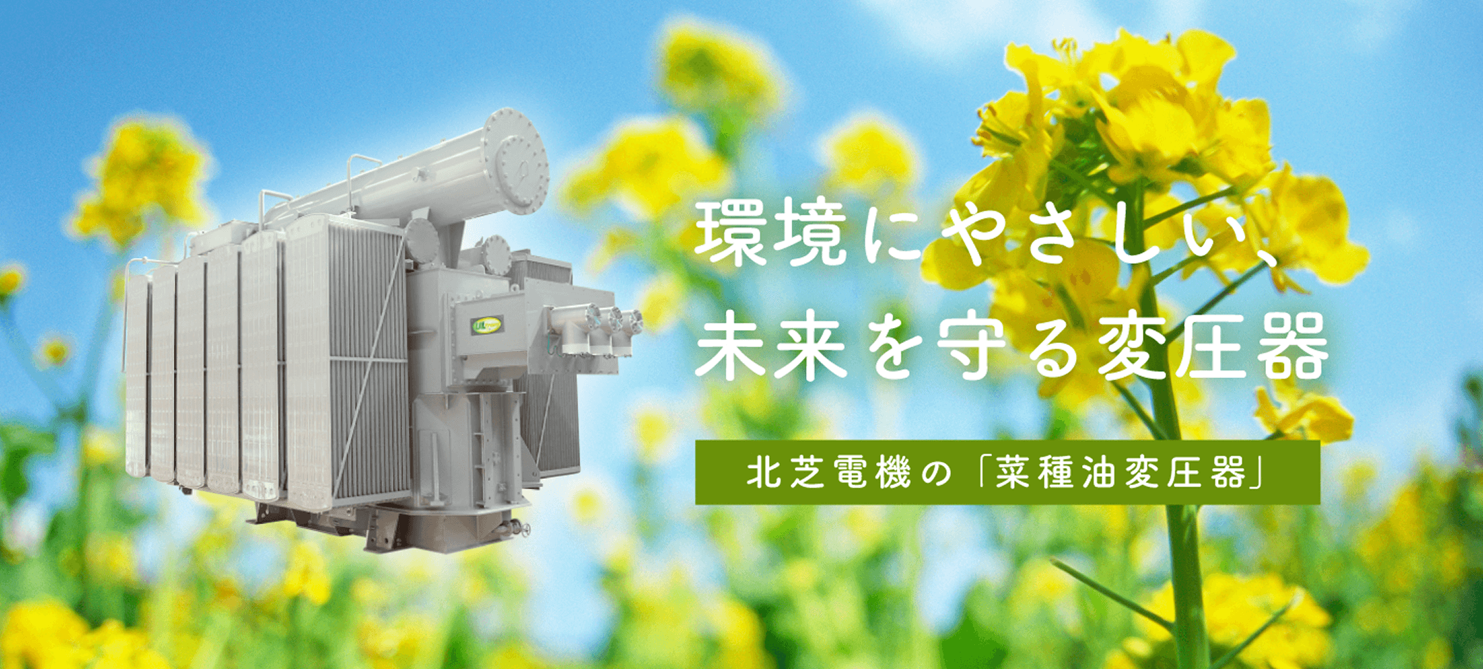 環境にやさしい未来を守る変圧器 北芝電機の「菜種油変圧器」